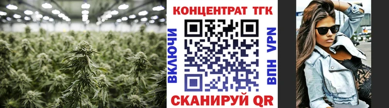 blacksprut зеркало  Печора  ТГК Wax 